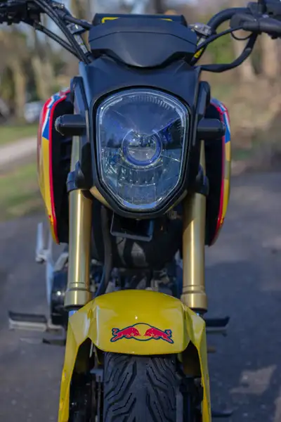 Honda MSX 125 - foto 6