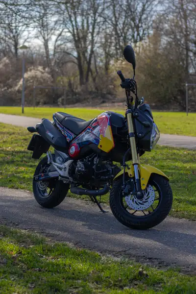 Honda MSX 125 - foto 4