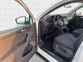 Volkswagen Tiguan 4M 2.0TDI  DSG*AHK*PANO*NAVI*Virtual*SHZ* Weiß - thumbnail 17