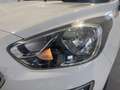 Ford Ka/Ka+ Ka + 1.5 ecoblue TDCi Ultimate s&s 95cv Bianco - thumbnail 6
