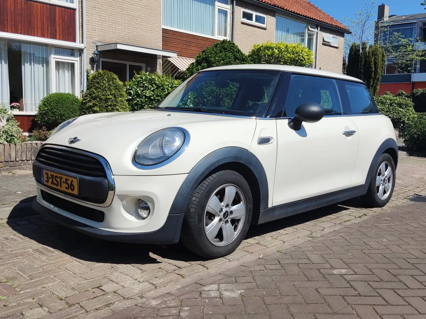 MINI One One 1.2 Salt Wit - 1