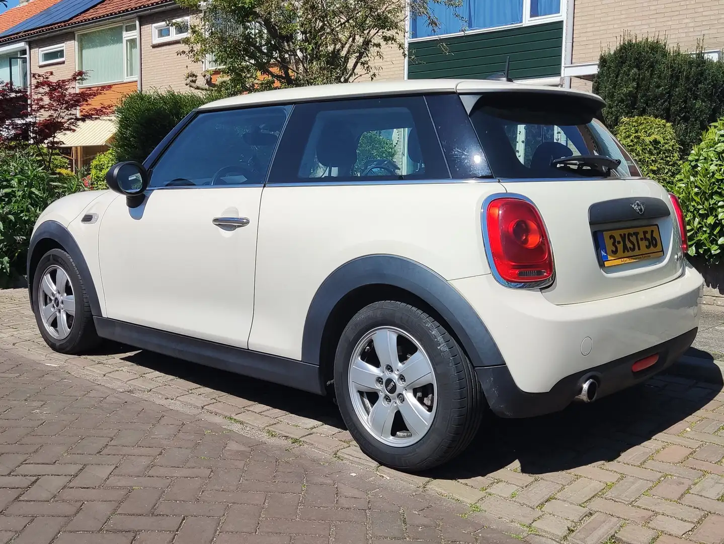MINI One One 1.2 Salt Wit - 2