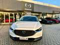 Mazda CX-30 2.0L Skyactiv-G M Hybrid 2WD Executive Bianco - thumbnail 2