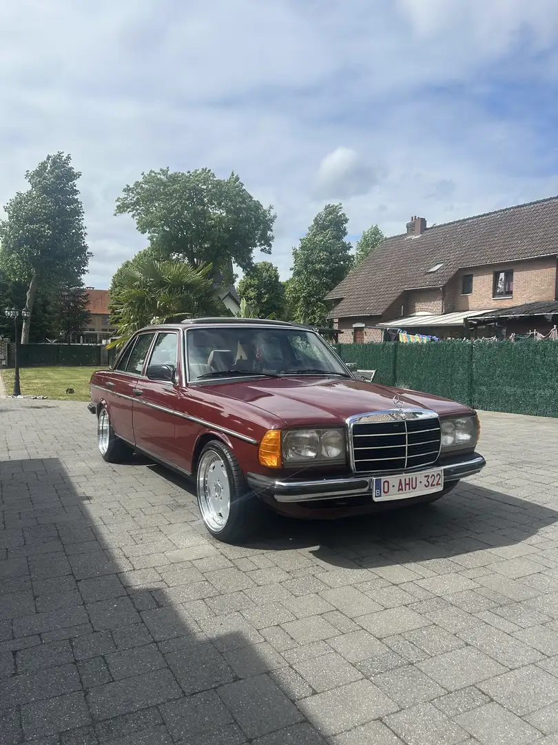 Mercedes-Benz E 230 W123 Red - 2
