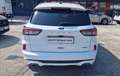Ford Kuga 2.5 phev ST-Line 2wd 225cv cvt Bianco - thumbnail 6