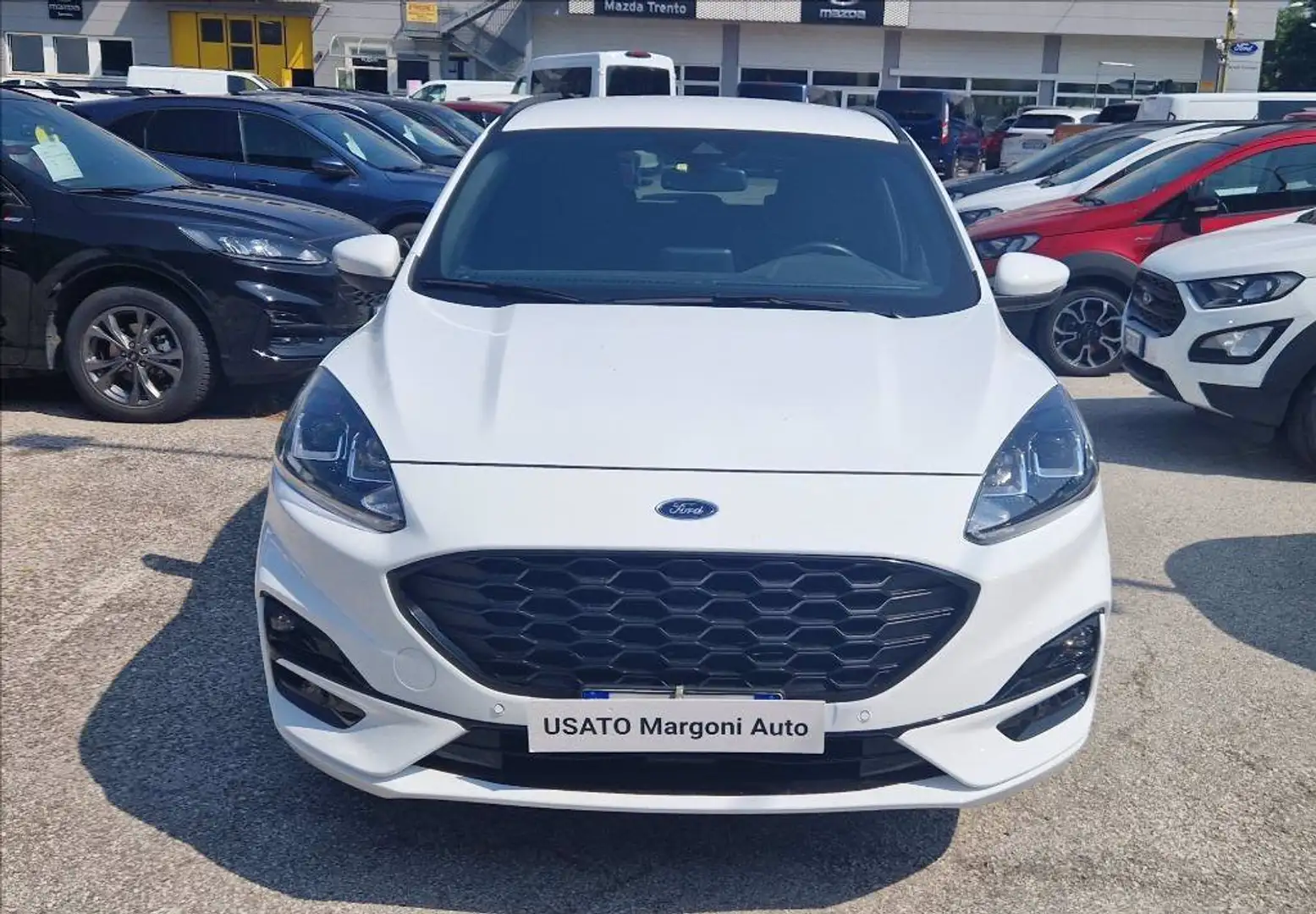 Ford Kuga 2.5 phev ST-Line 2wd 225cv cvt Bianco - 2