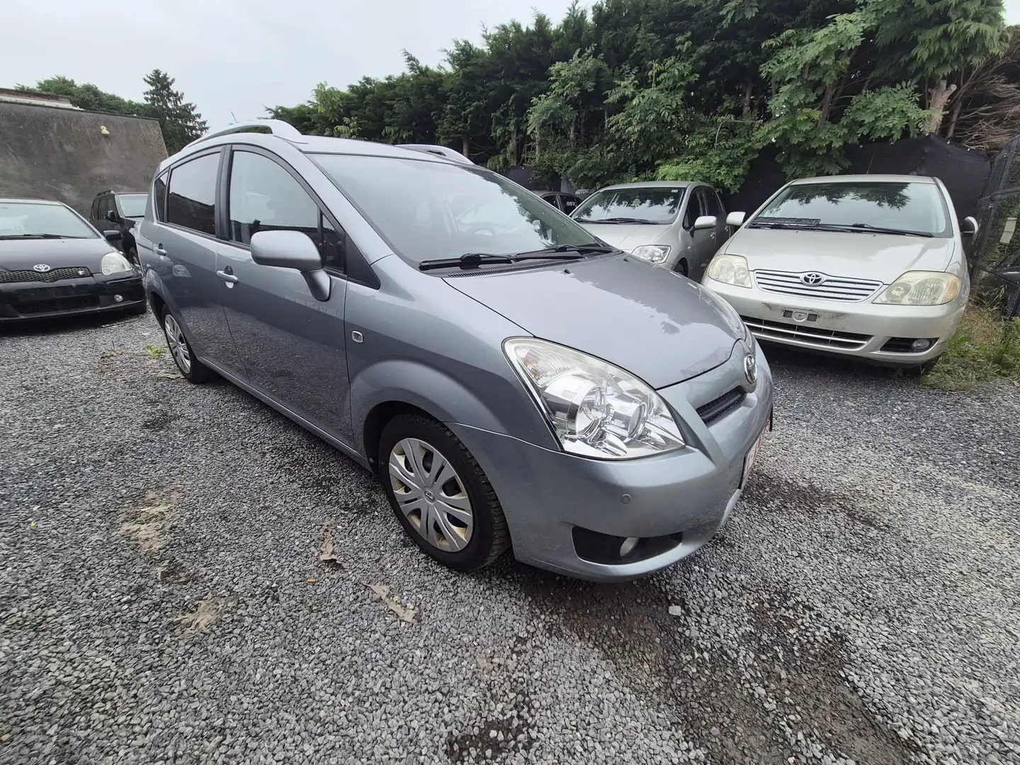 Toyota Corolla Verso 1.6i VVT-i 16v Linea Tribe 5pl. Gris - 2