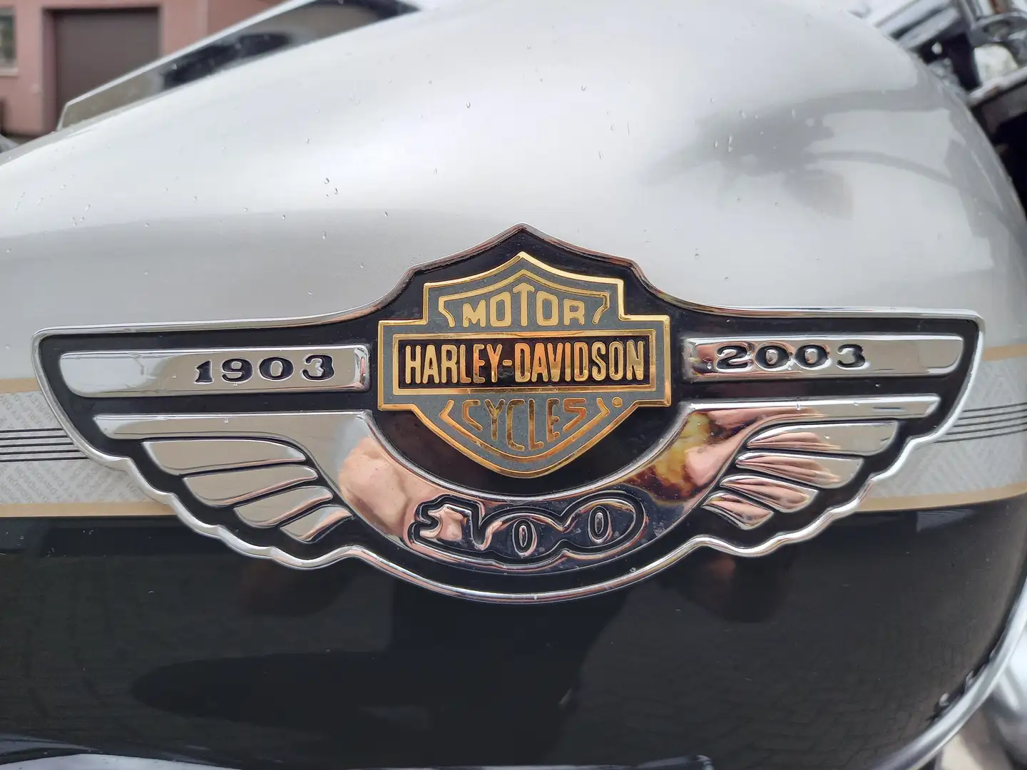 Harley-Davidson Fat Boy FLSTFI Argent - 2