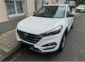 Hyundai TUCSON blue 1.6 GDi 2WD Passion - thumbnail 1
