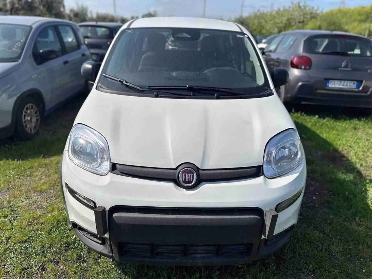Fiat Panda 1.0 FireFly Hybrid Pop Weiß - 1