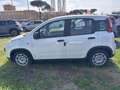 Fiat Panda 1.0 FireFly Hybrid Pop Weiß - thumbnail 4