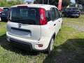 Fiat Panda 1.0 FireFly Hybrid Pop Weiß - thumbnail 6