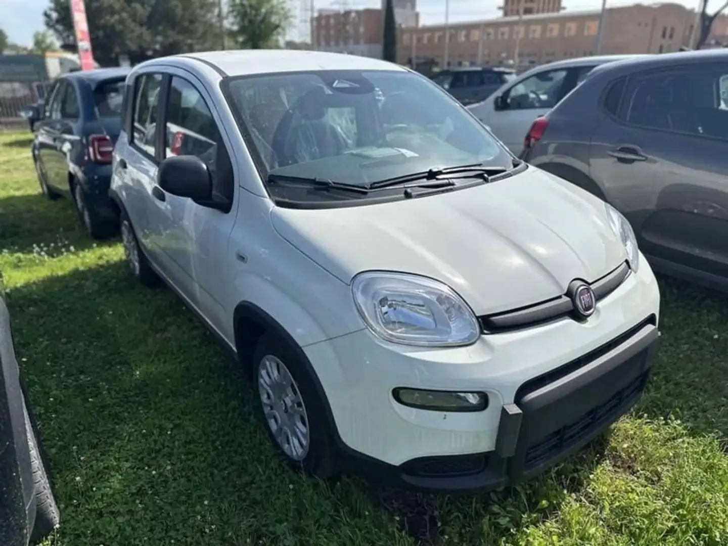 Fiat Panda 1.0 FireFly Hybrid Pop Weiß - 2
