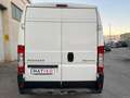 Peugeot Boxer Boxer Bianco - thumbnail 8