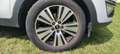 Kia Sportage Sportage 2,0 CRDI AWD Platin Platin Weiß - thumbnail 7