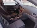 Ford Focus Focus II 2008 5p 1.6 tdci Ikon 90cv - thumbnail 12
