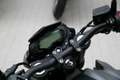 Benelli BN 125 Euro 5+, sofort lieferbar, Lieferservice Gris - thumbnail 13
