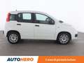 Fiat Panda 1.3 M-Jet Easy Wit - thumbnail 7