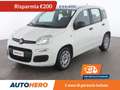 Fiat Panda 1.3 M-Jet Easy Wit - thumbnail 1