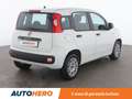 Fiat Panda 1.3 M-Jet Easy Wit - thumbnail 6