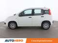 Fiat Panda 1.3 M-Jet Easy Wit - thumbnail 3