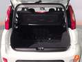 Fiat Panda City Life Hybrid 1.0 Gse 51kw (70CV) Blanc - thumbnail 8