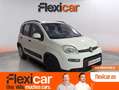 Fiat Panda City Life Hybrid 1.0 Gse 51kw (70CV) Blanc - thumbnail 1