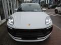 Porsche Macan GTS/Sport-Chrono/Panoramadach/Sportsitze Weiß - thumbnail 15
