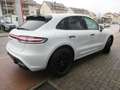 Porsche Macan GTS/Sport-Chrono/Panoramadach/Sportsitze Weiß - thumbnail 7