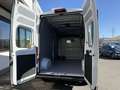 Toyota Proace Max 2.2-l-D 35 L3H3 Heavy Work Alb - thumbnail 8