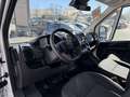 Toyota Proace Max 2.2-l-D 35 L3H3 Heavy Work Alb - thumbnail 6