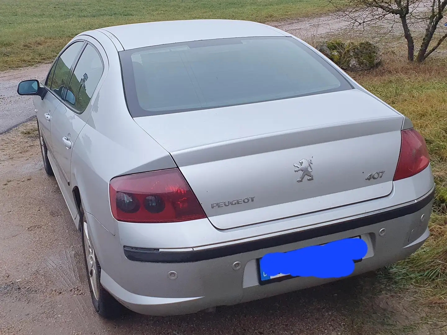 Peugeot 407 407 165 Platinum Srebrny - 2