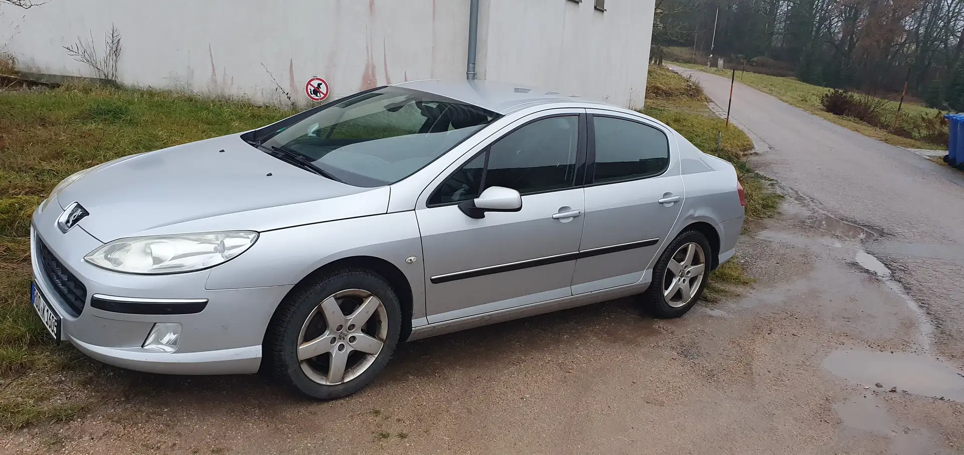 Peugeot 407 407 165 Platinum Srebrny - 1