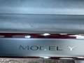 Tesla Model Y Long Range * 1.Hand * Matrix- LED * Red - thumbnail 20