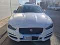 Jaguar XE 2.0 Diesel Pure 180 Blanco - thumbnail 6