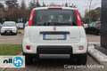 Fiat Panda Panda 1.0 70cv Hybrid City Life Bianco - thumbnail 4