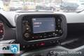 Fiat Panda Panda 1.0 70cv Hybrid City Life Bianco - thumbnail 10