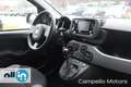 Fiat Panda Panda 1.0 70cv Hybrid City Life Bianco - thumbnail 13