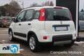 Fiat Panda Panda 1.0 70cv Hybrid City Life Bianco - thumbnail 3