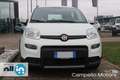 Fiat Panda Panda 1.0 70cv Hybrid City Life Bianco - thumbnail 2