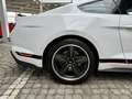 Ford Mustang Mach1 Aut. RECARO +5 Jahre FGS Garantie Weiß - thumbnail 9