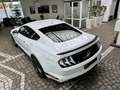 Ford Mustang Mach1 Aut. RECARO +5 Jahre FGS Garantie Weiß - thumbnail 15