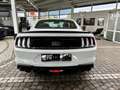 Ford Mustang Mach1 Aut. RECARO +5 Jahre FGS Garantie Weiß - thumbnail 6