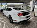 Ford Mustang Mach1 Aut. RECARO +5 Jahre FGS Garantie Weiß - thumbnail 8
