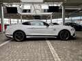 Ford Mustang Mach1 Aut. RECARO +5 Jahre FGS Garantie Weiß - thumbnail 5
