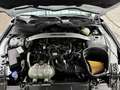 Ford Mustang Mach1 Aut. RECARO +5 Jahre FGS Garantie Weiß - thumbnail 35
