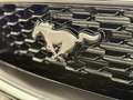 Ford Mustang Mach1 Aut. RECARO +5 Jahre FGS Garantie Weiß - thumbnail 45