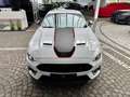 Ford Mustang Mach1 Aut. RECARO +5 Jahre FGS Garantie Weiß - thumbnail 3