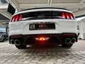 Ford Mustang Mach1 Aut. RECARO +5 Jahre FGS Garantie Weiß - thumbnail 22