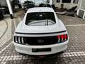 Ford Mustang Mach1 Aut. RECARO +5 Jahre FGS Garantie Weiß - thumbnail 17
